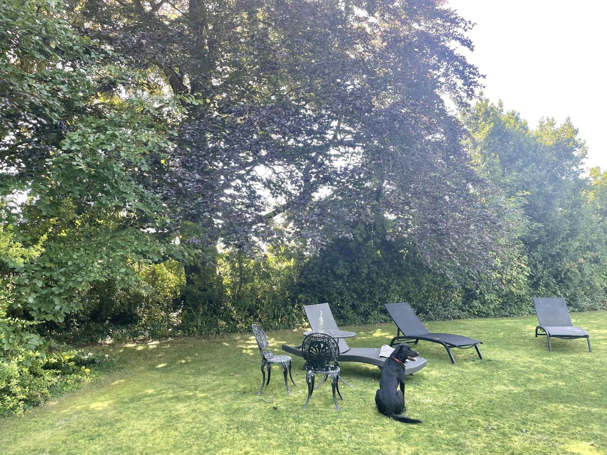 The Mount Somerton Retreat - Nr Bruton, Glastonbury, The Spectacular Wells Cathedral, Millfield School, Leonardo Helicopters, Yeovilton Eksteriør bilde