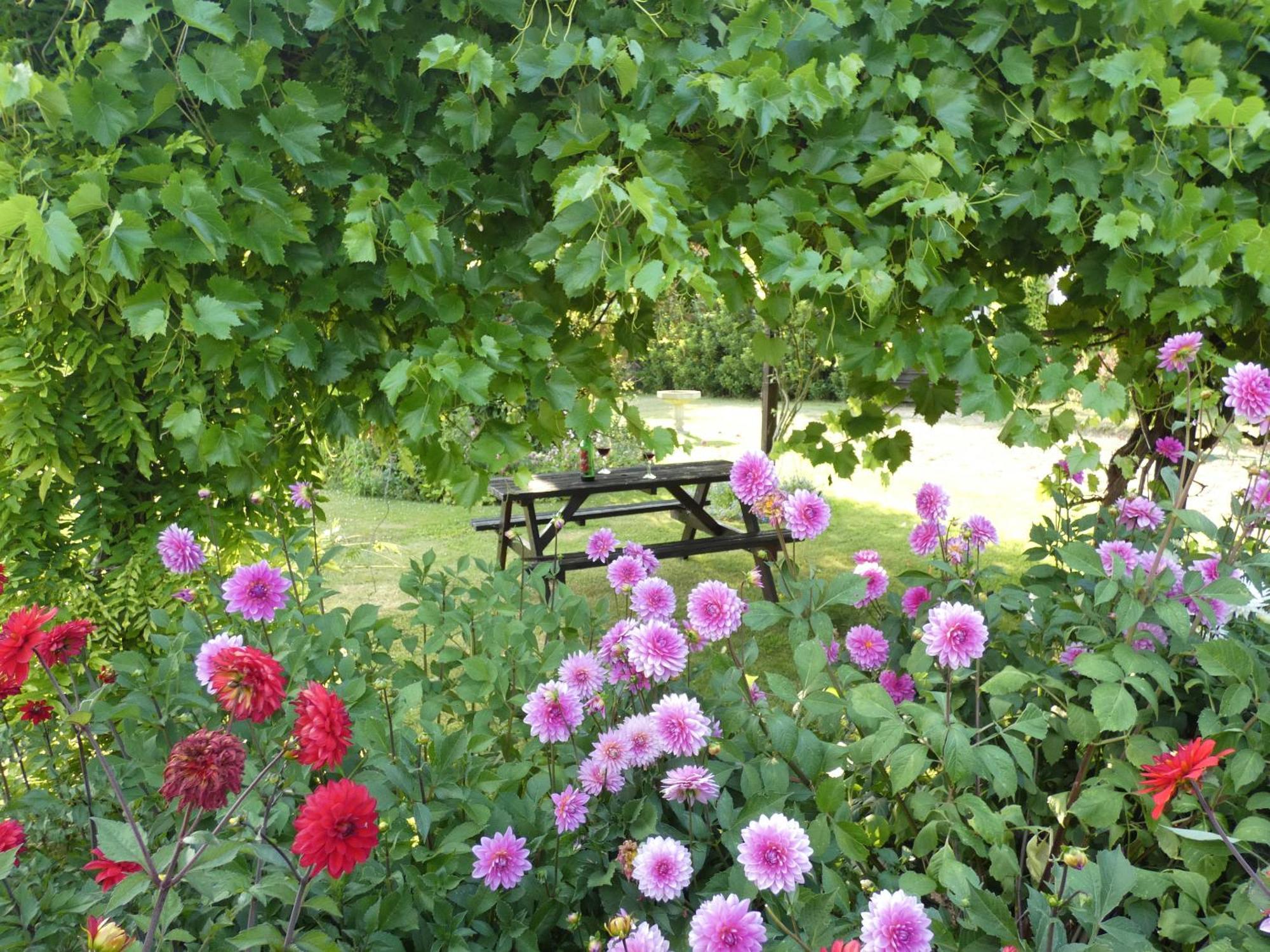 The Mount Somerton Retreat - Nr Bruton, Glastonbury, The Spectacular Wells Cathedral, Millfield School, Leonardo Helicopters, Yeovilton Eksteriør bilde